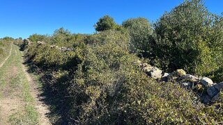 Land for sale in Sintra, Portugal — €30,000