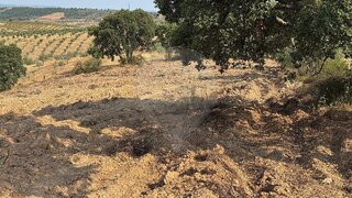 Land for sale in Mirandela, Portugal — €25,000