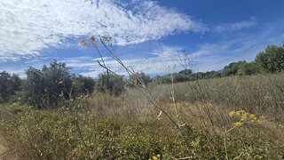 Land for sale in Torres Novas, Portugal — €6,250