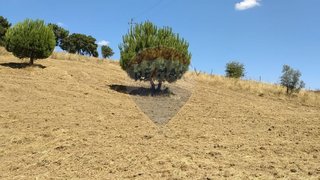 Land for sale in Tomar, Portugal — €30,000