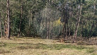 Land for sale in Santo Tirso, Portugal — €52,500
