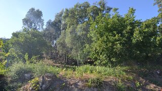 Land for sale in São Pedro do Sul, Portugal — €25,000