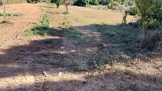 Land for sale in Sertã, Portugal — €8,000