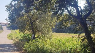 Land for sale in Santa Maria da Feira, Portugal — €800,000