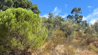 Terreno em Odemira · 18 500 m² · 55 000 €