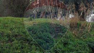Terreno em Pombal