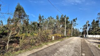 Land for sale in Pombal, Portugal — €80,000