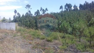 Land for sale in Sertã, Portugal — €25,000