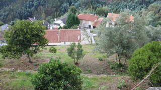 Land for sale in Penacova, Portugal — €35,000