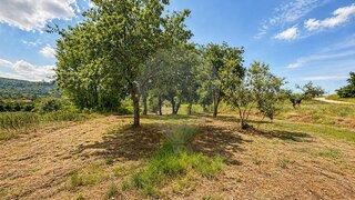 Land for sale in Pombal, Portugal — €31,000