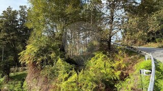 Land for sale in Arcos de Valdevez, Portugal — €6,500