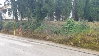 Land for sale in Anadia, Portugal — €28,000