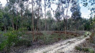 Land for sale in Mira, Portugal — €19,000