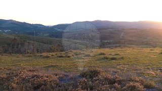 Land for sale in Paredes, Portugal — €50,000