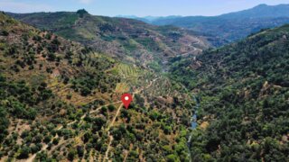 Terreno em Murça