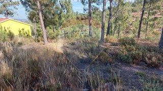 Land for sale in Vila de Rei, Portugal — €9,000