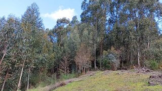 Land for sale in Arcos de Valdevez, Portugal — €25,500