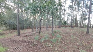 Land for sale in Oliveira de Azeméis, Portugal — €68,000