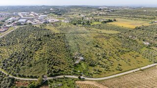 Land for sale in Vila Viçosa, Portugal — €75,000