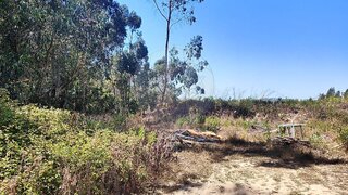 Land for sale in Sintra, Portugal — €29,000