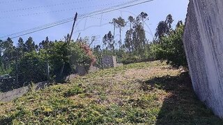 Land for sale in Mação, Portugal — €5,000