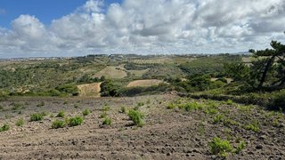 Land for sale in Sintra, Portugal — €120,000