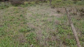 Terreno de 7240 m² em Santarém