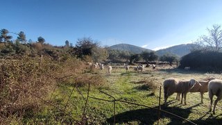 Land for sale in Penamacor, Portugal — €11,000