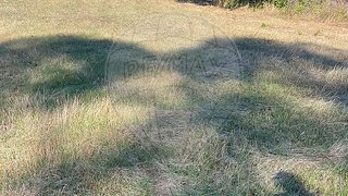 Land for sale in Tondela, Portugal — €35,000