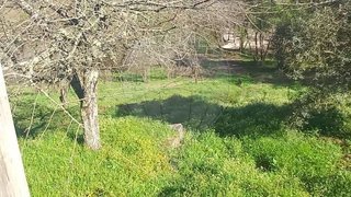 Land for sale in Pombal, Portugal — €25,000