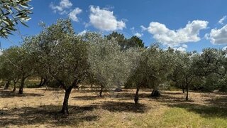 Land for sale in Fundão, Portugal — €7,500