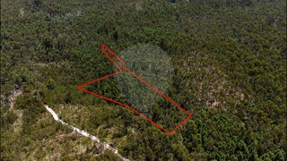 Terreno em Mira
