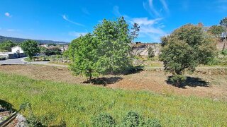 Land for sale in Viseu, Portugal — €30,000