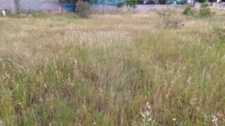 Land for sale in Idanha-a-Nova, Portugal — €24,990
