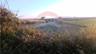 Land for sale in Azambuja, Portugal — €22,200
