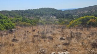Land for sale in Vila do Bispo, Portugal — €42,000