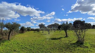 Land for sale in Penamacor, Portugal — €30,000