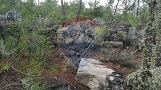 Terreno em Penedono