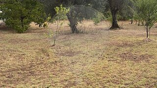 Land for sale in Vila Verde, Portugal — €69,900