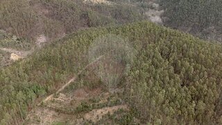 Terreno em Mortágua