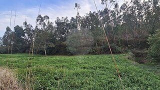 Terreno de 610 m² em Ovar