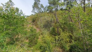 Land for sale in Sertã, Portugal — €2,550