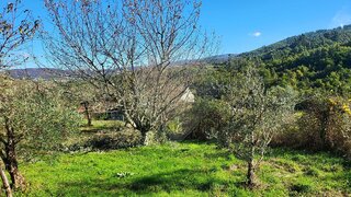 Land for sale in Arganil, Portugal — €15,000