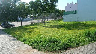 Land for sale in Elvas, Portugal — €60,000
