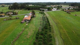 Land for sale in Montemor-o-Velho, Portugal — €39,000