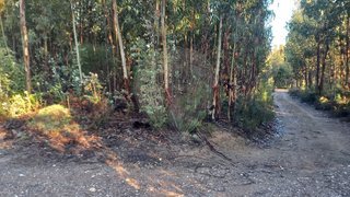 Land for sale in Sertã, Portugal — €8,000