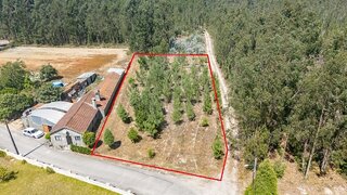Land for sale in Cantanhede, Portugal — €37,000