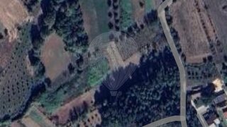 Land for sale in Anadia, Portugal — €8,478