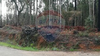 Land for sale in Ferreira do Zêzere, Portugal — €8,000