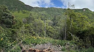 Terreno em Lajes das Flores